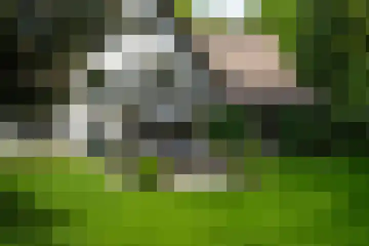 2e Beukenlaan 4 Apeldoorn thumbnail 41