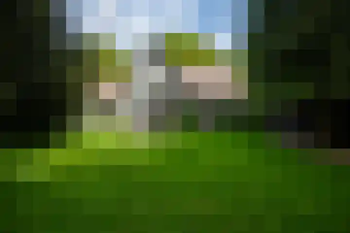 2e Beukenlaan 4 Apeldoorn thumbnail 43