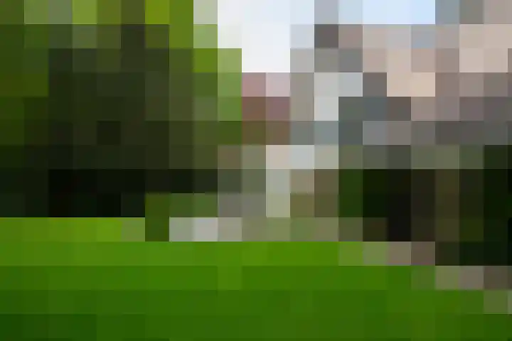 2e Beukenlaan 4 Apeldoorn thumbnail 44