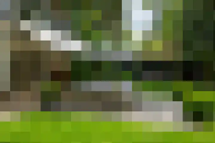 2e Beukenlaan 4 Apeldoorn thumbnail 45
