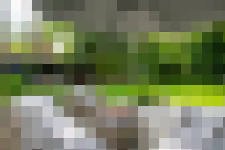 2e Beukenlaan 4 Apeldoorn thumbnail 46