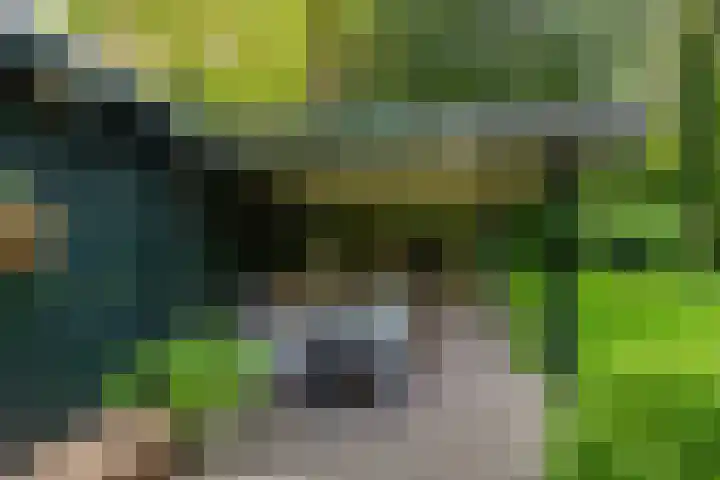 2e Beukenlaan 4 Apeldoorn thumbnail 47