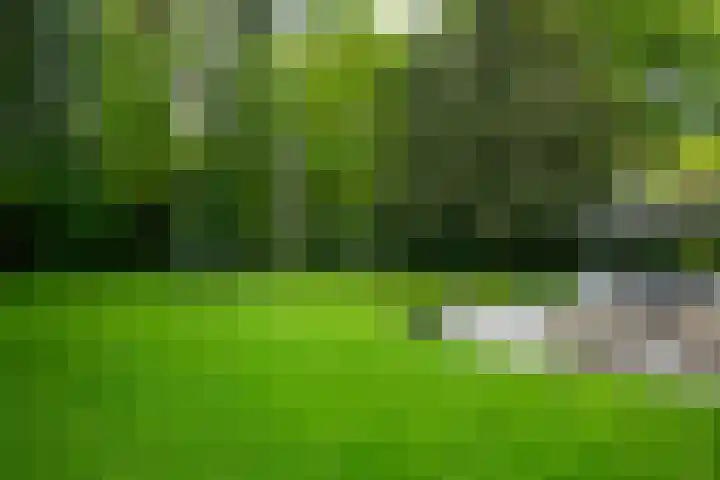 2e Beukenlaan 4 Apeldoorn thumbnail 48