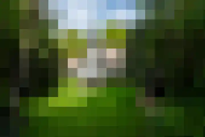 2e Beukenlaan 4 Apeldoorn thumbnail 49