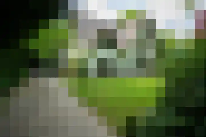 2e Beukenlaan 4 Apeldoorn thumbnail 50