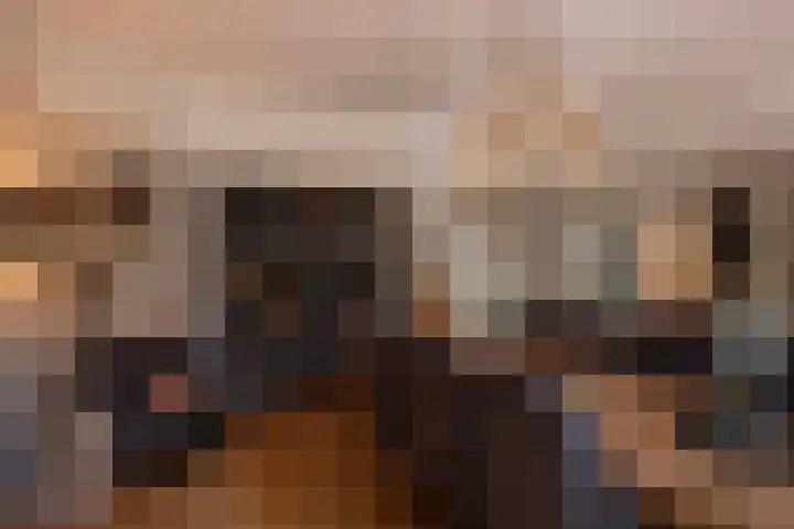 2e Beukenlaan 4 Apeldoorn thumbnail 7