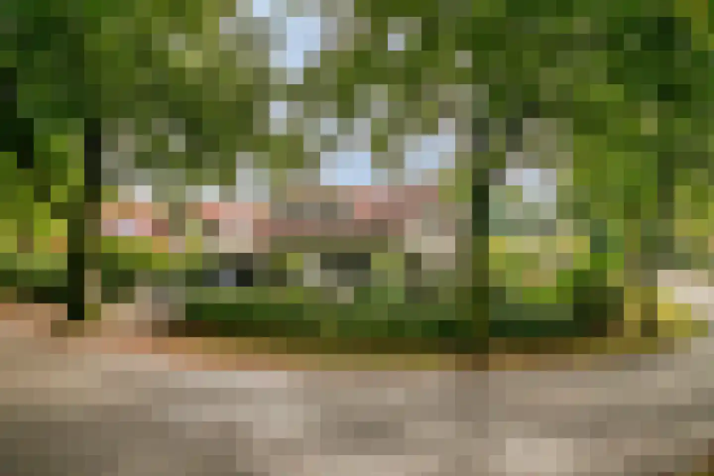 2e Beukenlaan 49 Apeldoorn thumbnail 55
