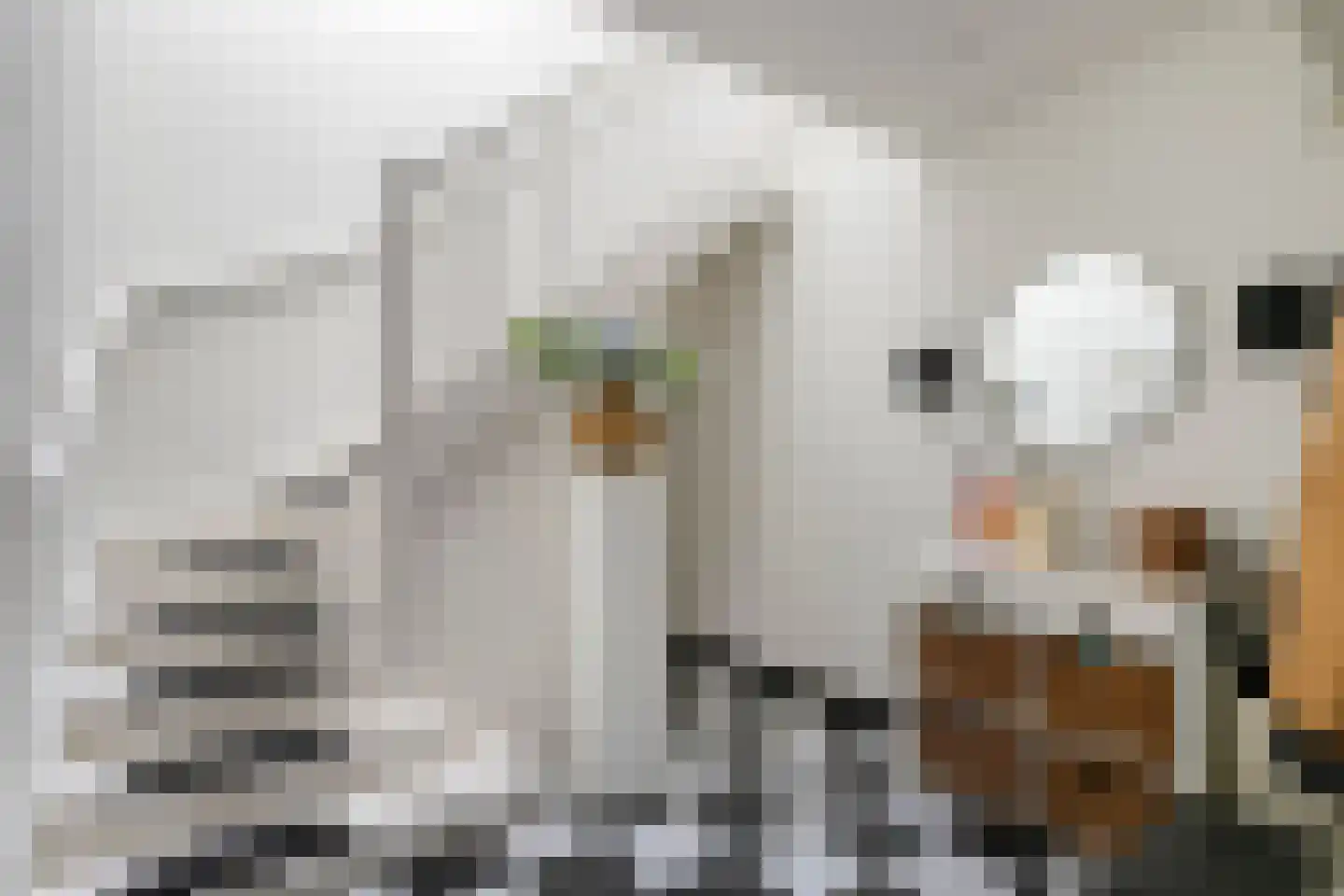 2e Beukenlaan 49 Apeldoorn thumbnail 6