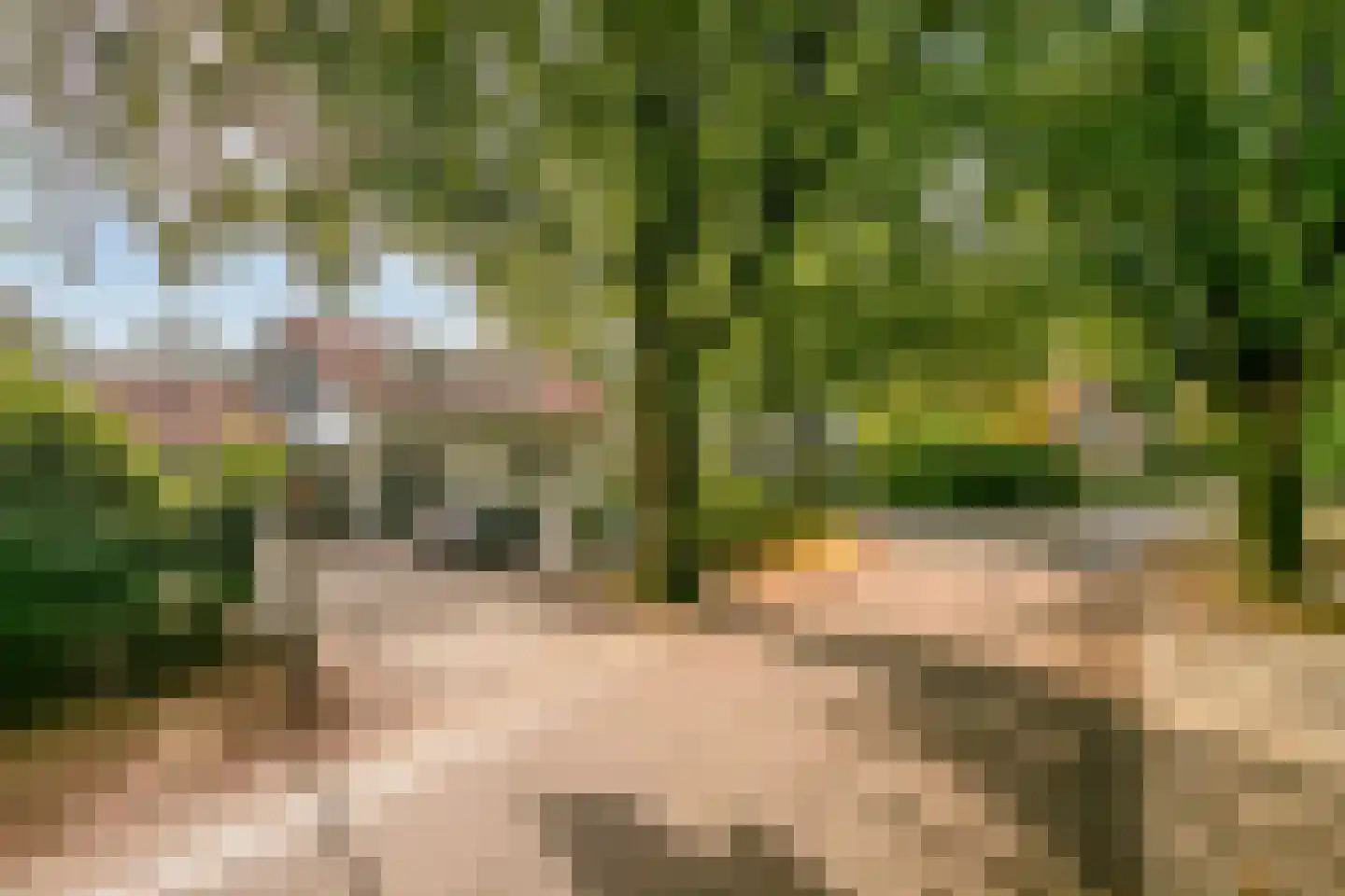 2e Beukenlaan 49 Apeldoorn thumbnail 61