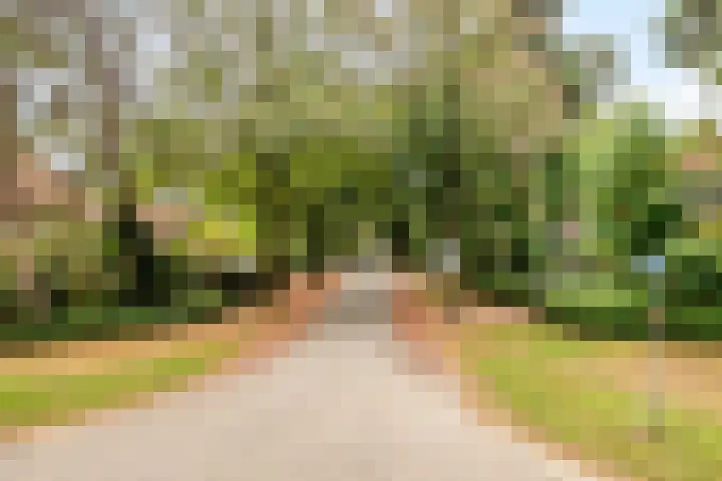 2e Beukenlaan 49 Apeldoorn thumbnail 63