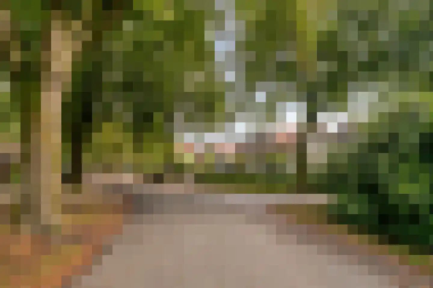 2e Beukenlaan 49 Apeldoorn thumbnail 66