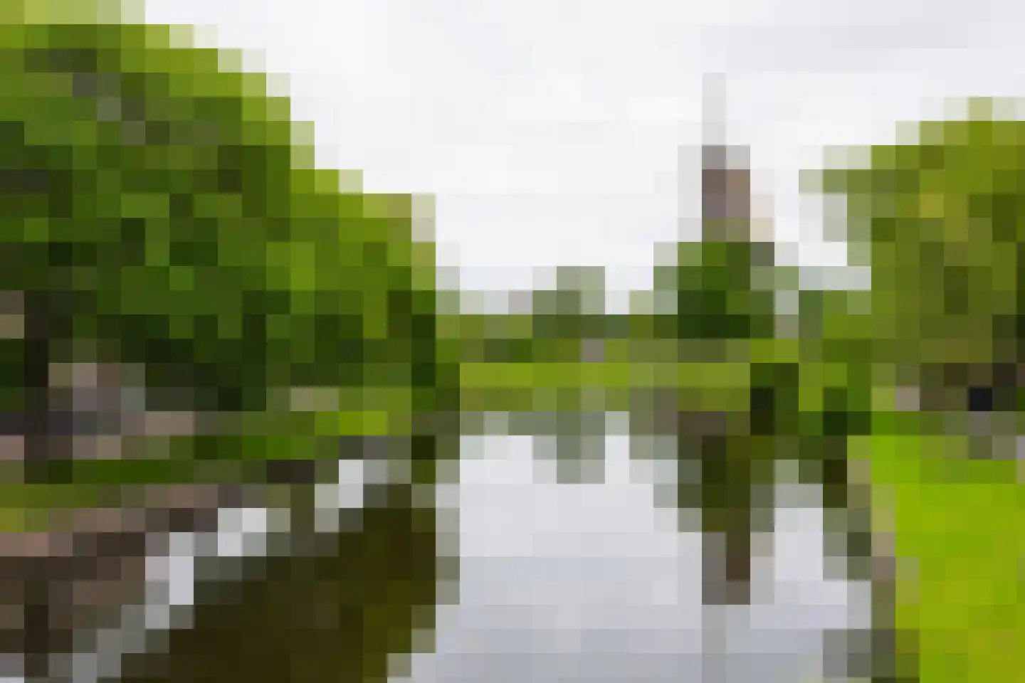 2e Binnenvestgracht 8 Leiden thumbnail 17