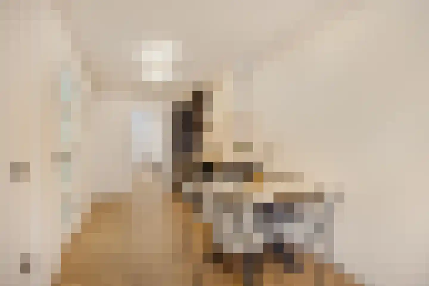 2e Binnenvestgracht 8 Leiden thumbnail 8