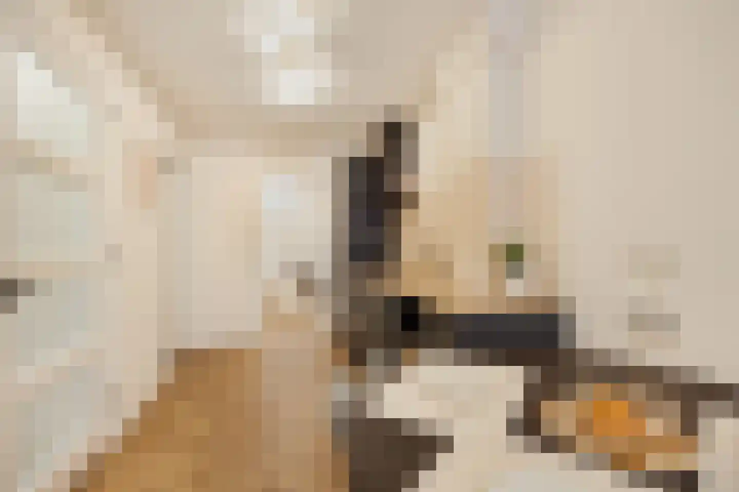 2e Binnenvestgracht 8 Leiden thumbnail 8