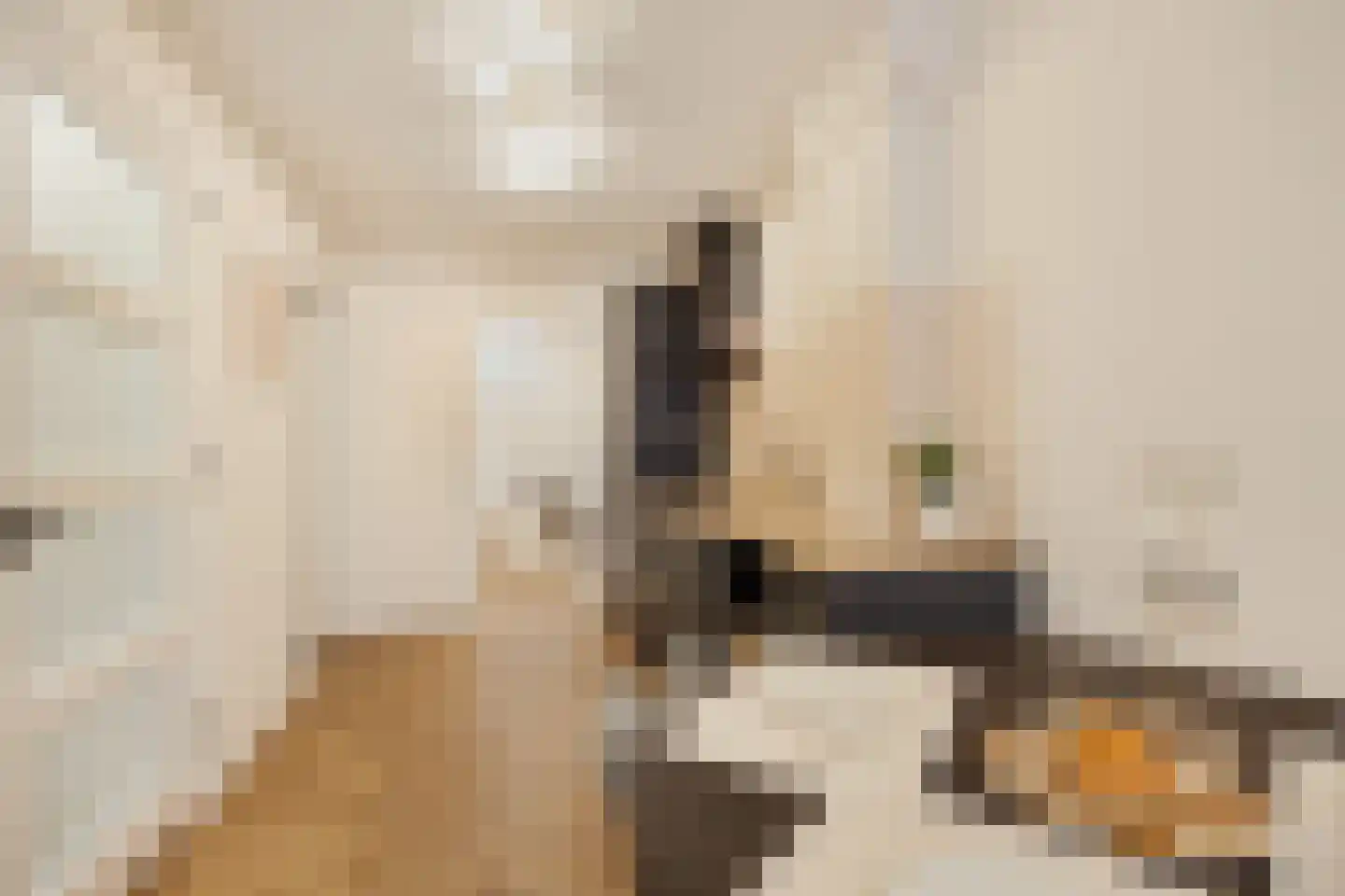 2e Binnenvestgracht 8 Leiden thumbnail 9