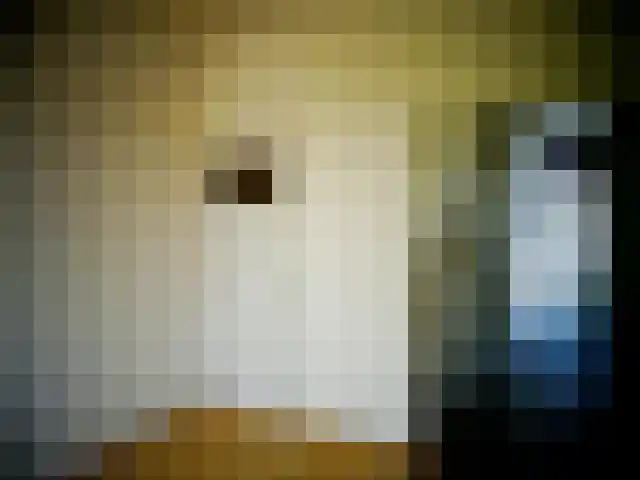 2e Binnenvestgracht Leiden thumbnail 6