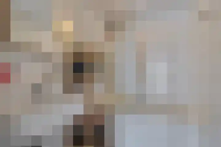 2e Blekerhof 52 D Rotterdam thumbnail 12
