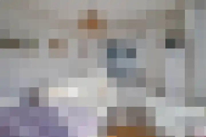 2e Blekerhof 52 D Rotterdam thumbnail 17