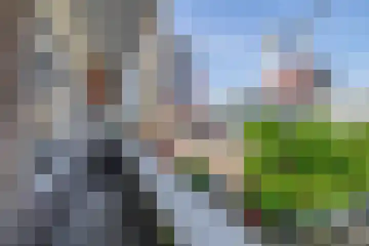 2e Blekerhof 53 D Rotterdam thumbnail 16