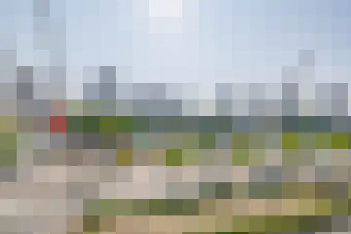 2e Blekerhof 53 D Rotterdam thumbnail 5