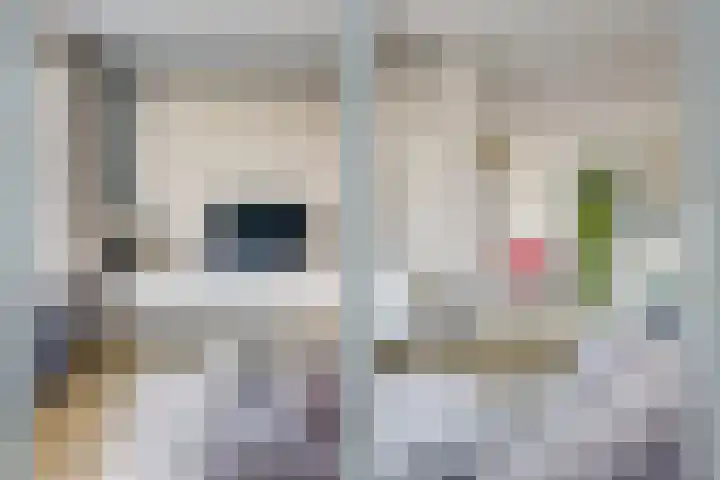 2e Blekerhof 57 B Rotterdam thumbnail 12