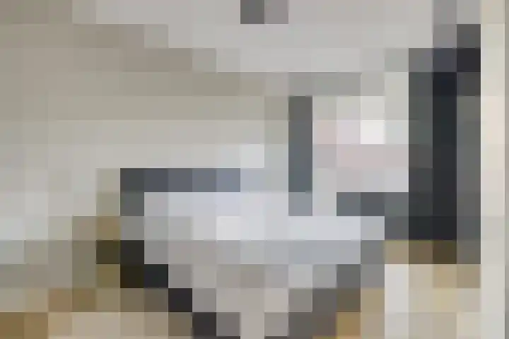 2e Blekerhof 57 B Rotterdam thumbnail 29