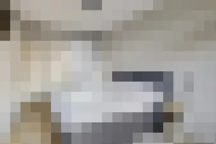 2e Blekerhof 57 B Rotterdam thumbnail 30