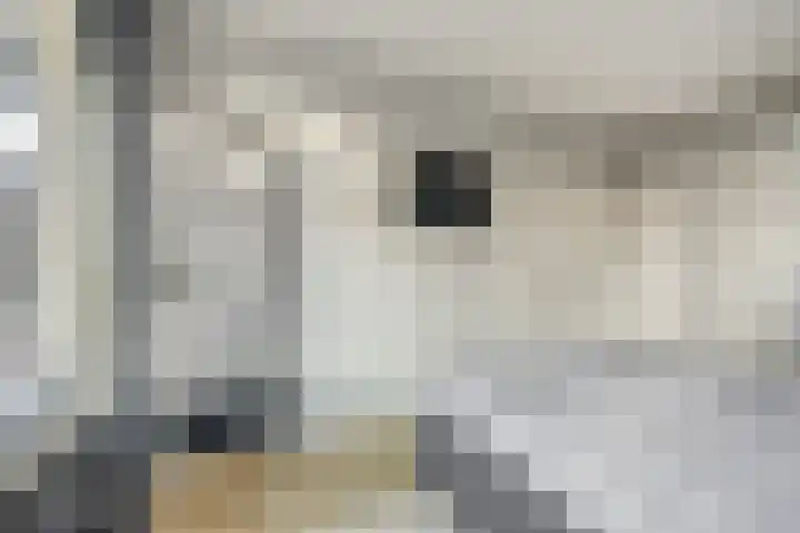 2e Blekerhof 57 B Rotterdam thumbnail 31