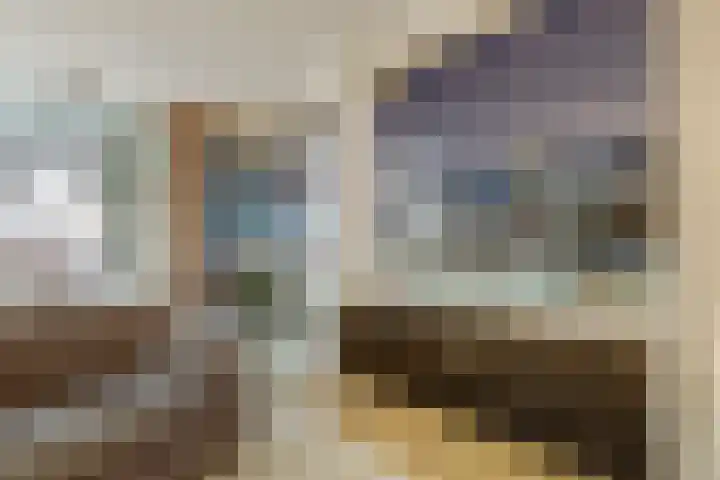 2e Blekerhof 57 B Rotterdam thumbnail 43