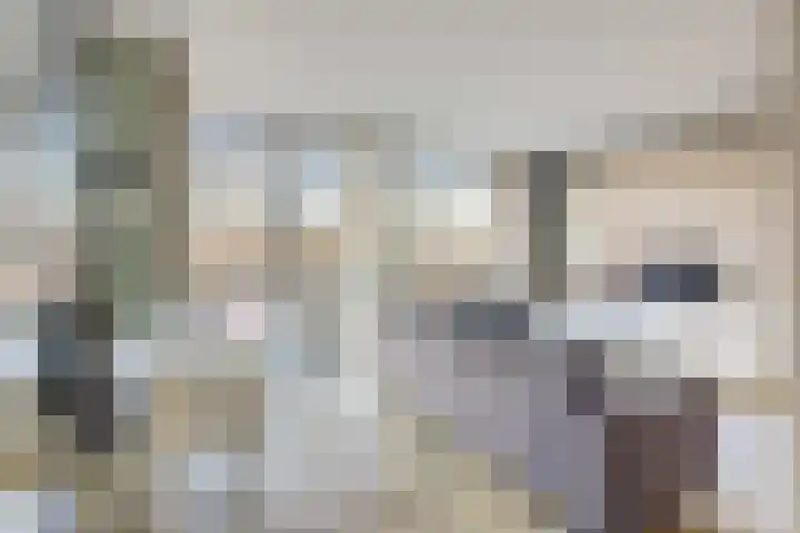 2e Blekerhof 57 B Rotterdam thumbnail 8