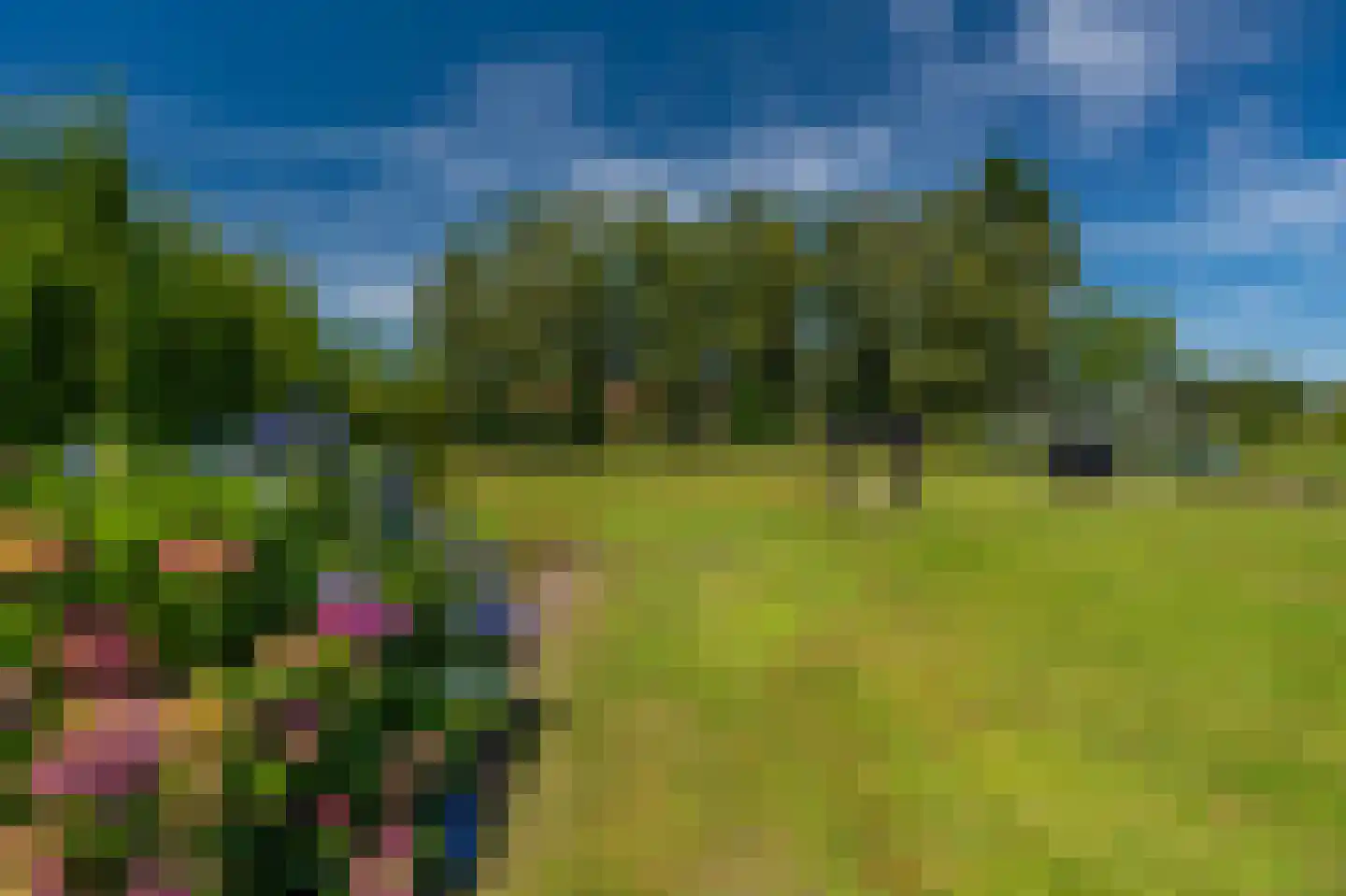 2e Bovenpad 5 Westerlee thumbnail 47
