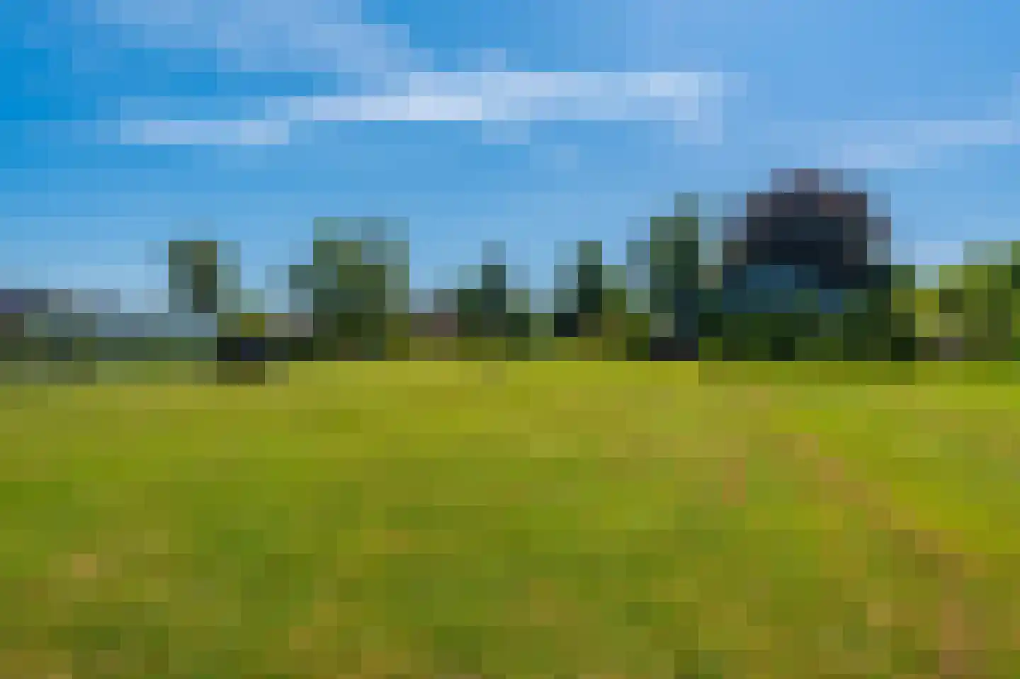 2e Bovenpad 5 Westerlee thumbnail 48