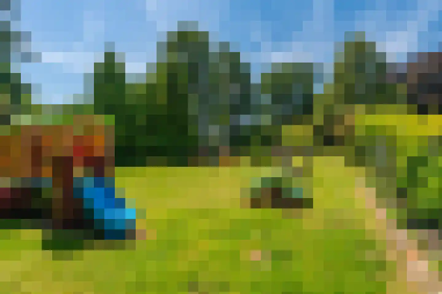 2e Bovenpad 5 Westerlee thumbnail 51