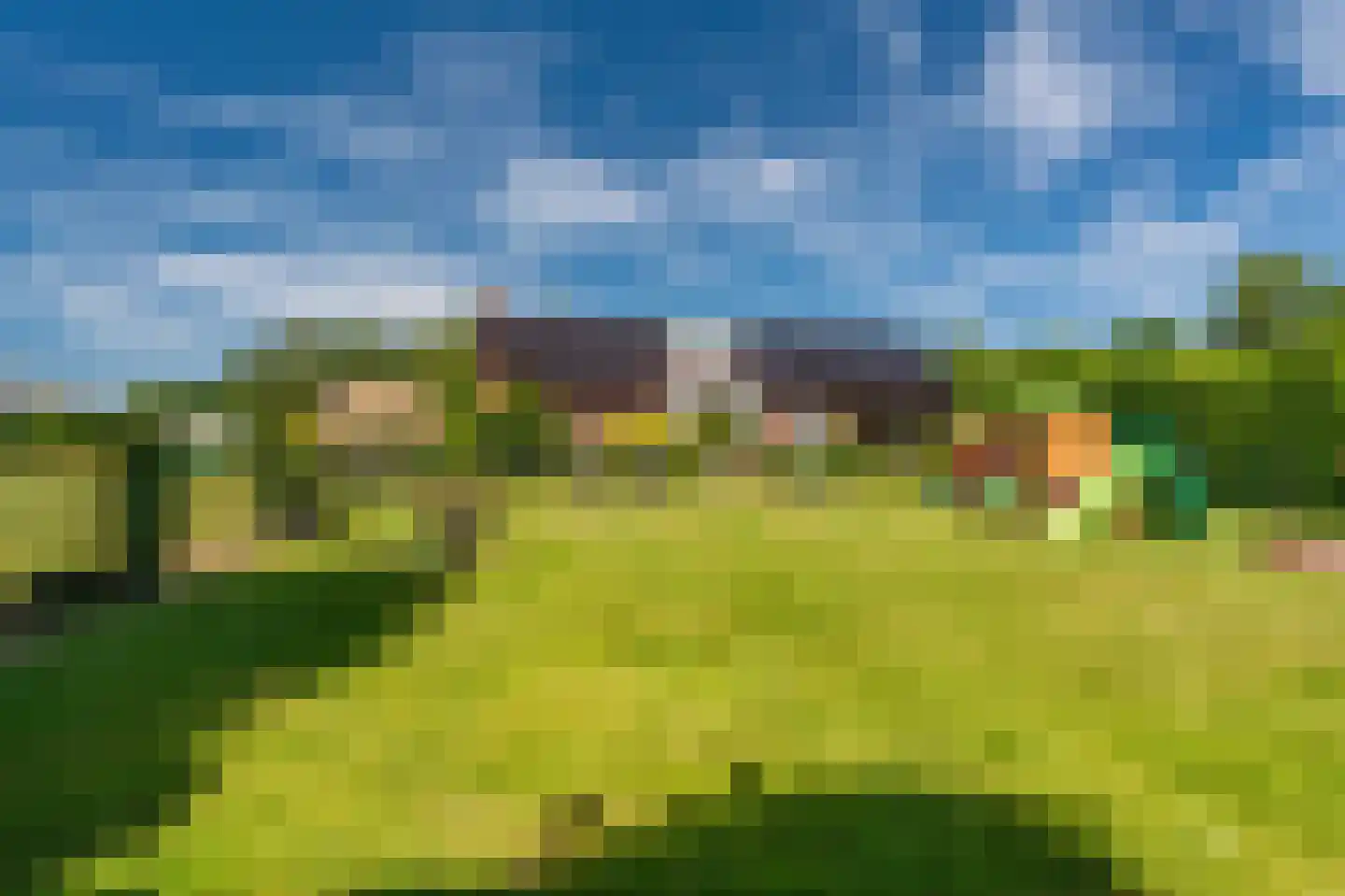 2e Bovenpad 5 Westerlee thumbnail 52