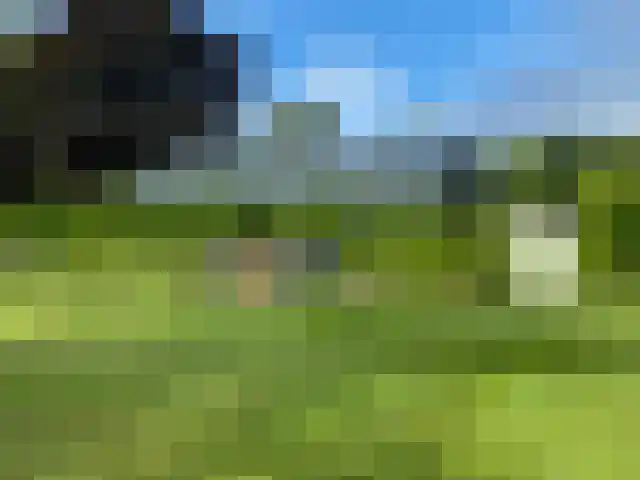 2e Bovenpad 5 Westerlee thumbnail 58