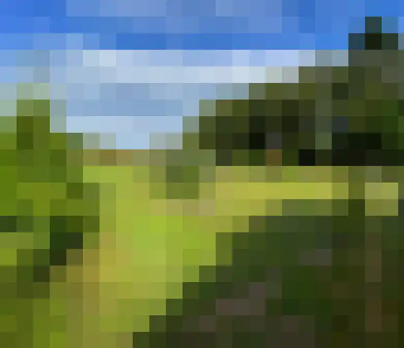 2e Bovenpad 5 Westerlee thumbnail 61