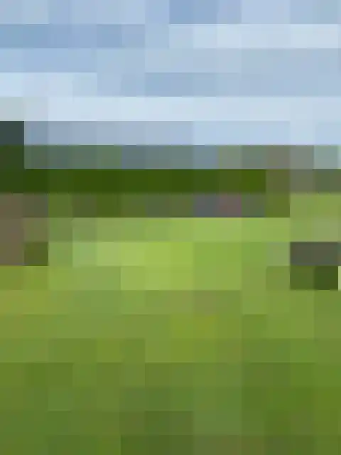 2e Bovenpad 5 Westerlee thumbnail 64