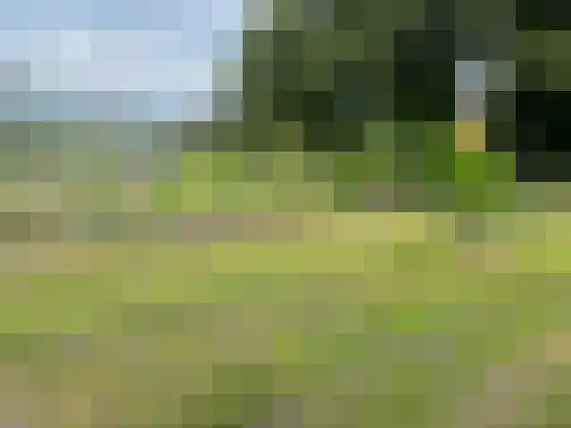 2e Bovenpad 5 Westerlee thumbnail 67