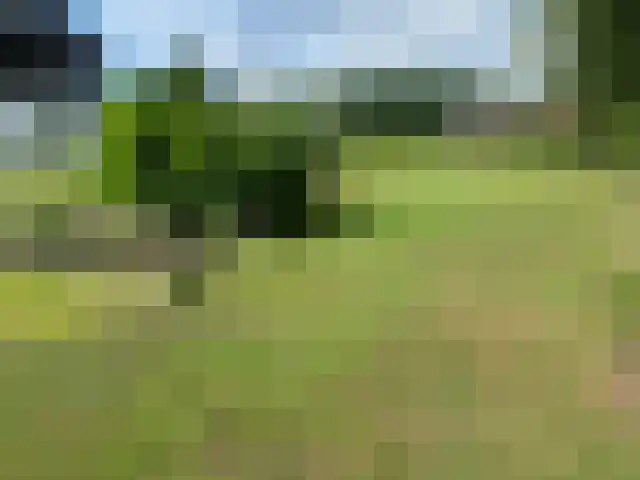 2e Bovenpad 5 Westerlee thumbnail 68