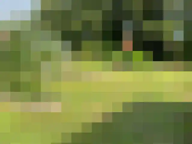 2e Bovenpad 5 Westerlee thumbnail 69