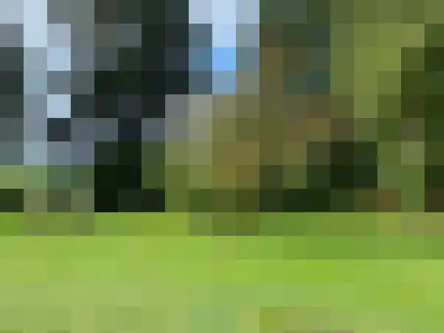 2e Bovenpad 5 Westerlee thumbnail 70