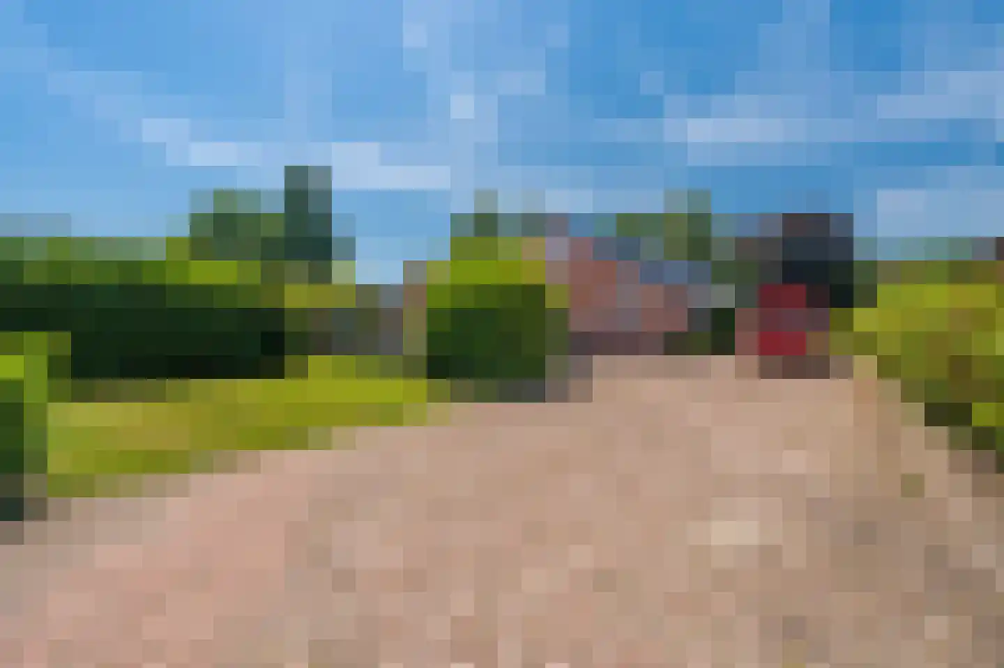 2e Bovenpad 5 Westerlee thumbnail 8