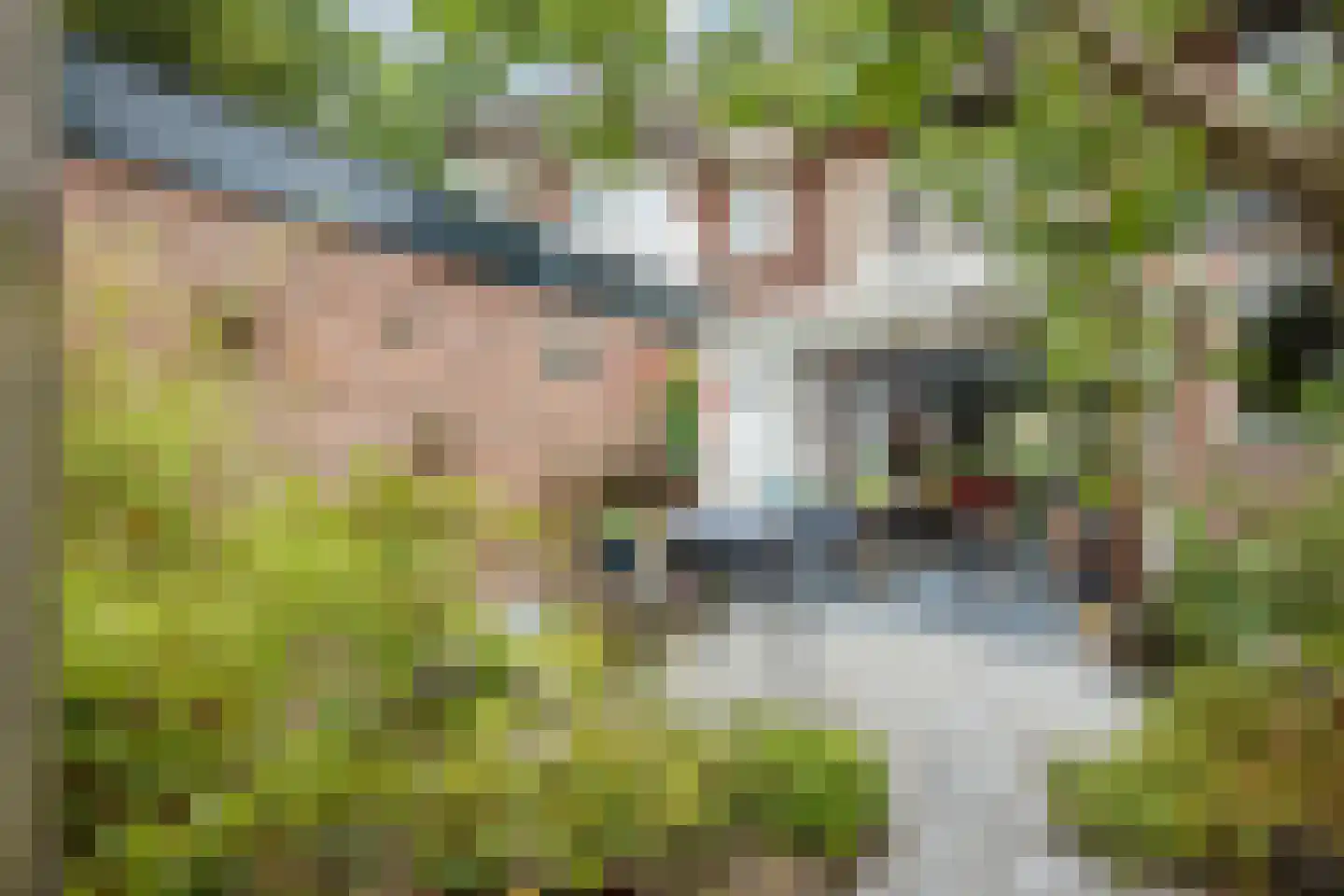 2e Brandenburgerweg 4 Bilthoven thumbnail 30