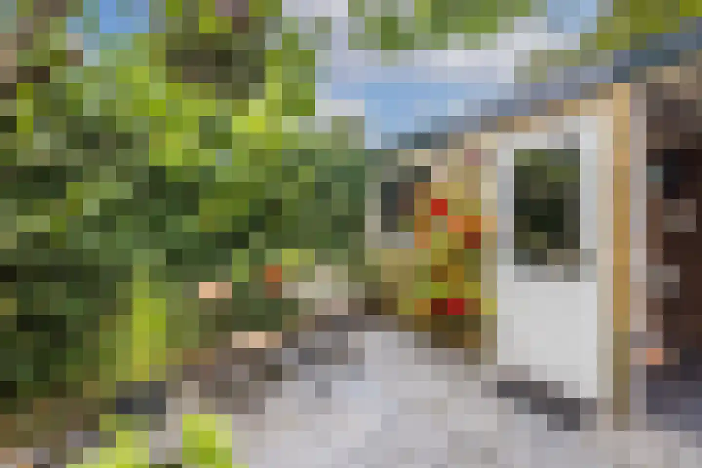 2e Brandenburgerweg 4 Bilthoven thumbnail 34