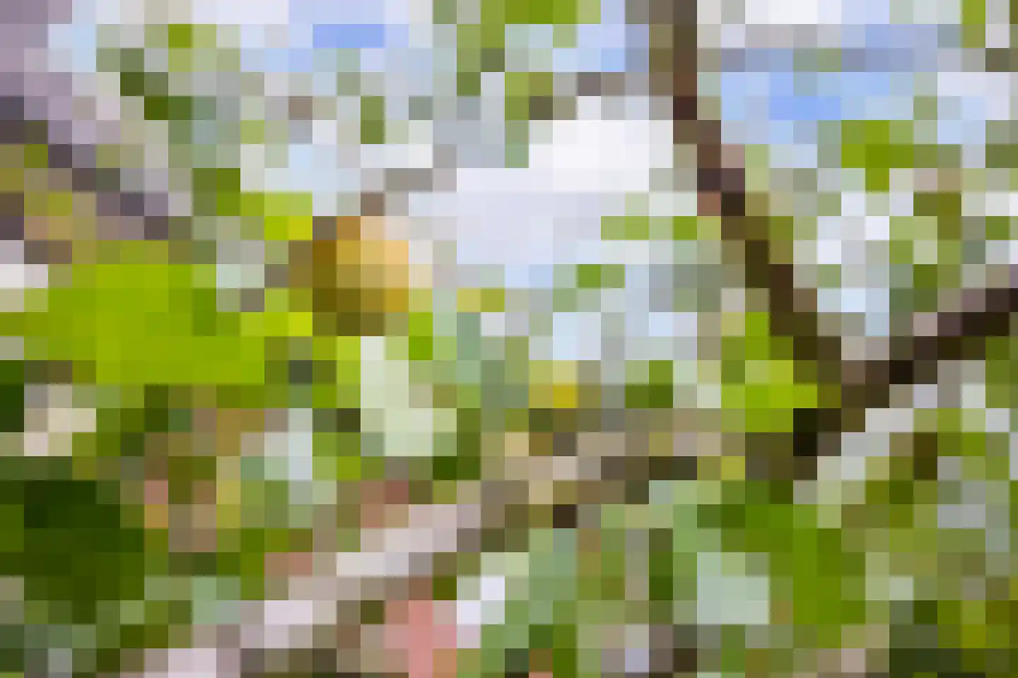 2e Brandenburgerweg 4 Bilthoven thumbnail 35