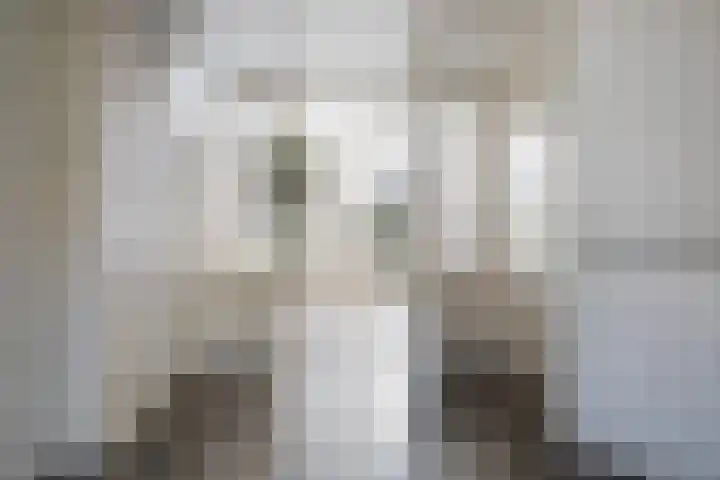 2e Cambuurdwarsstraat 51 Leeuwarden foto 2