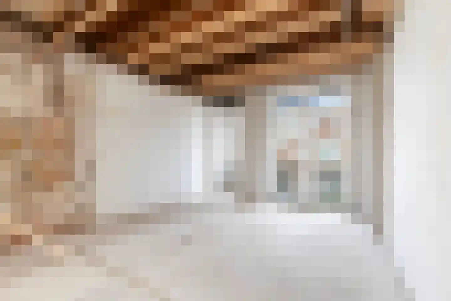 2e Carnissestraat 23 Rotterdam thumbnail 14