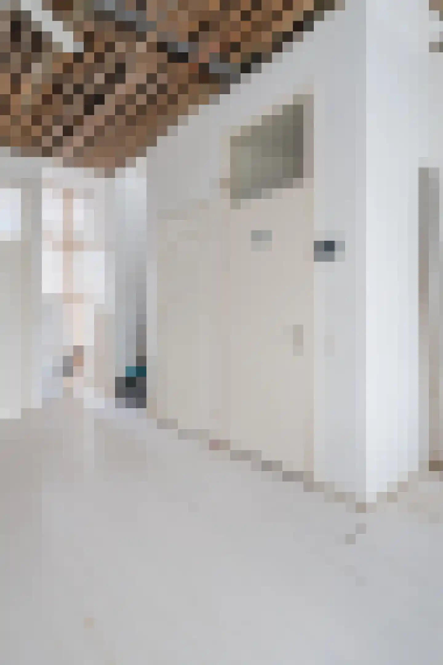 2e Carnissestraat 29 B Rotterdam thumbnail 11