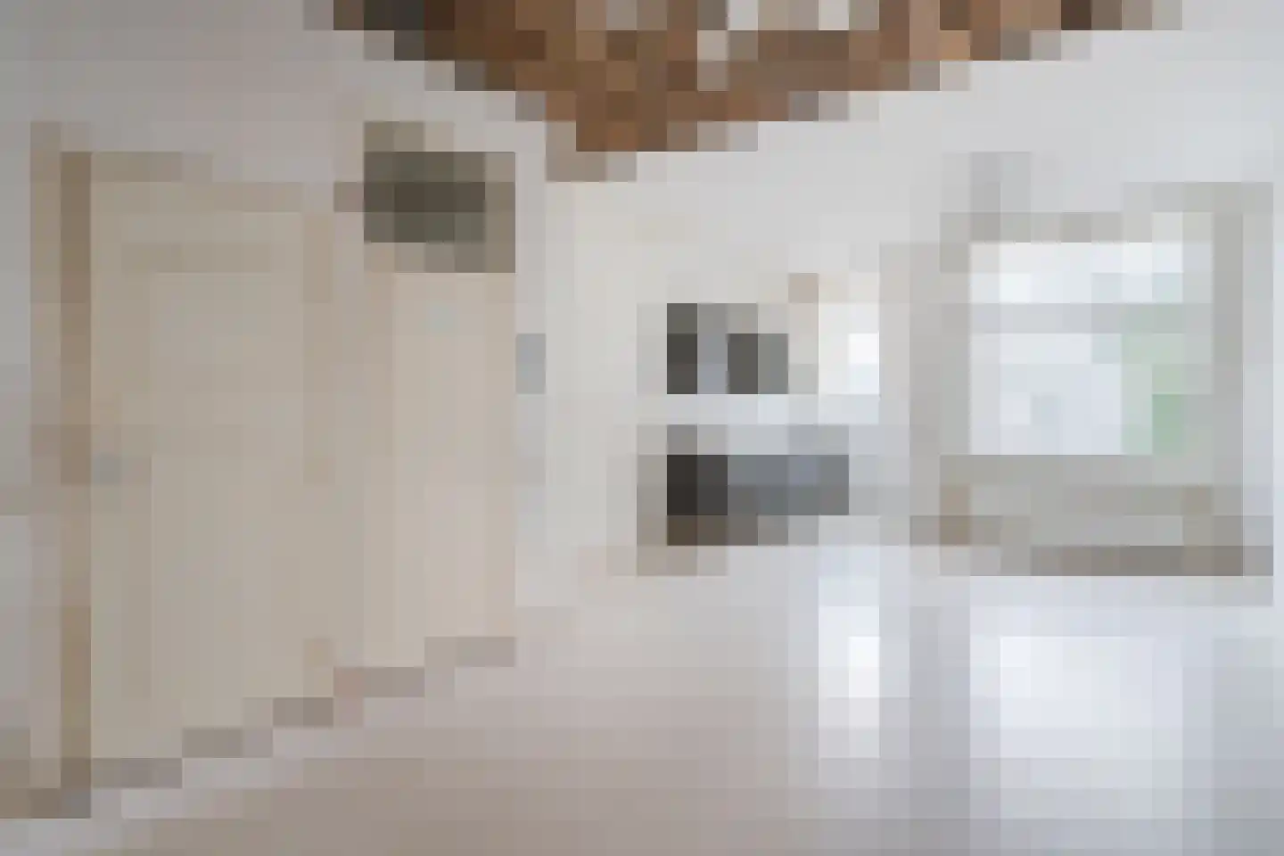 2e Carnissestraat 29 B Rotterdam thumbnail 4