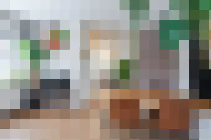2e Daalsedijk 1 Utrecht thumbnail 11